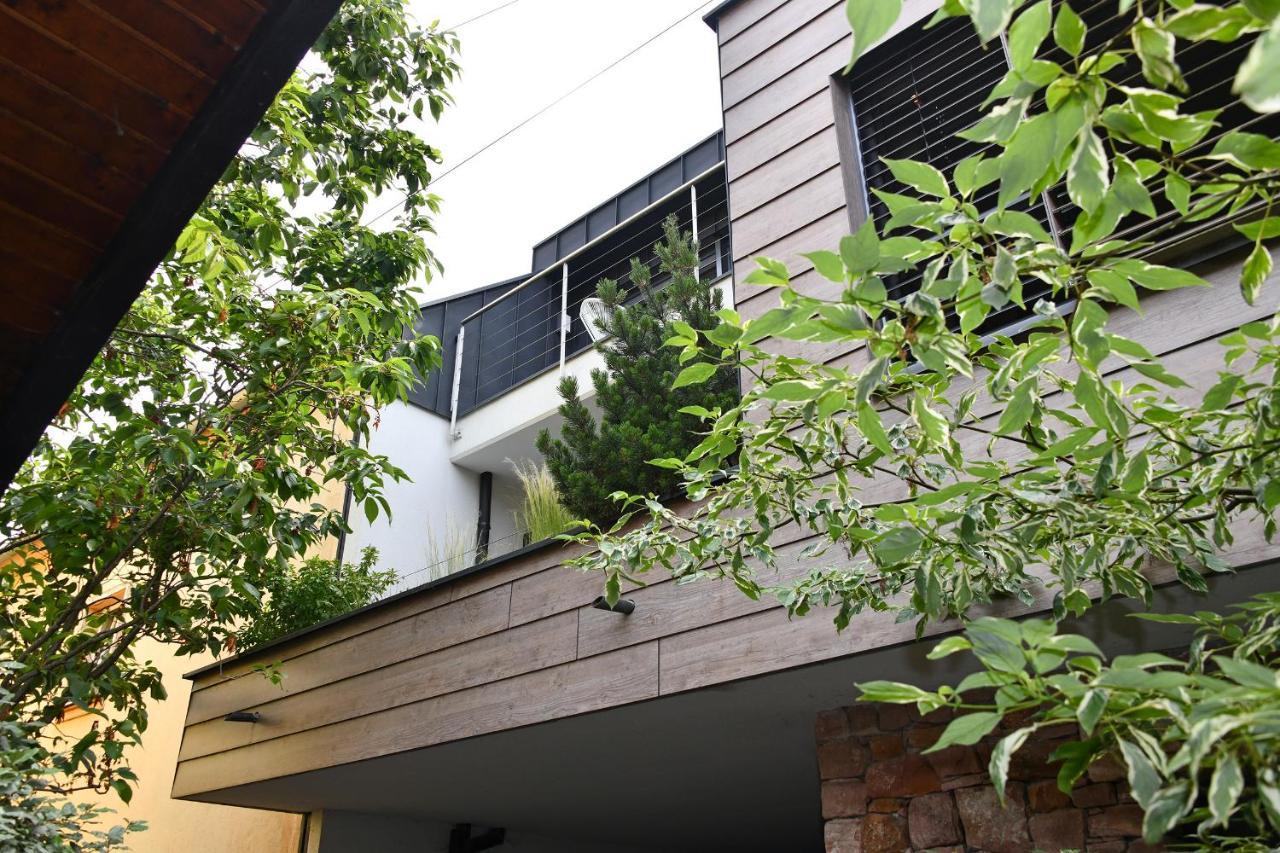 Gite Contemporain L'Hirondelle Guémar 外观 照片
